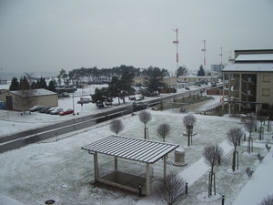 Click for larger picture